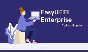EasyUEFI Enterprise 5.0.1 for windows instal free