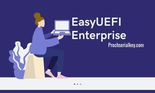 EasyUEFI Enterprise 5.0.1 download the new version for apple