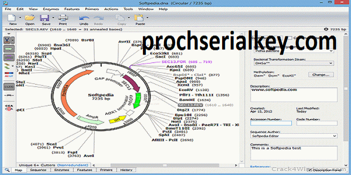 snapgene full version crack pc