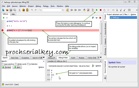 Wing IDE Pro Crack (2)